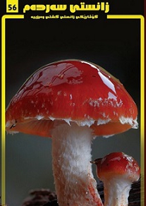 056